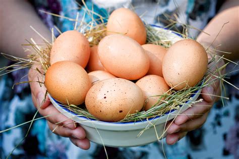 Скорлупки от яиц куриных: толкование сновидений и символика