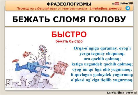 Смысловая нагрузка фразеологизма "во все лопатки"