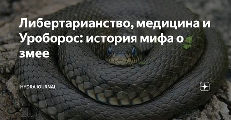 Смысл сновидения о змее и мыши