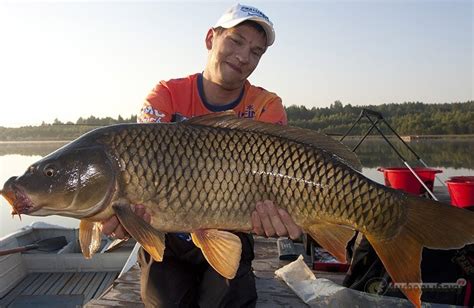 Снасти для ловли крупной рыбы