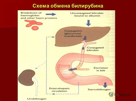 Снижение уровня желчных пигментов в кишечнике