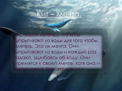 Сновидение о ките: знак судьбы или предзнаменование?