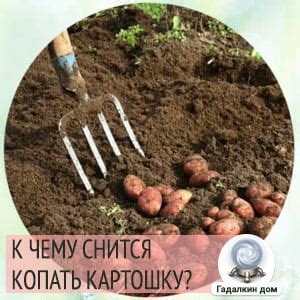 Сновидение о копании картошки