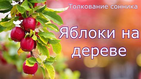 Сновидения: толкование яблок на дереве