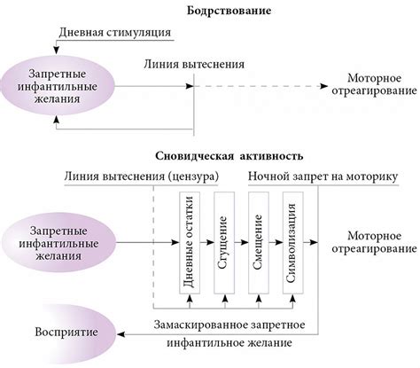 Сны и их связь с памятью