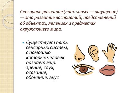 Сны об отдельных предметах и объектах