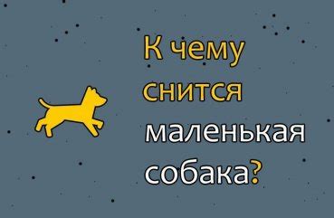 Сны о добрых собаках: значение для незамужней женщины