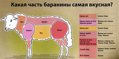 Сны о сале и мясе: возможные значения