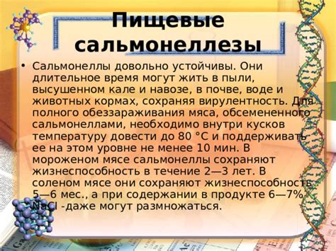 Сны о соленом мясе: что они могут означать