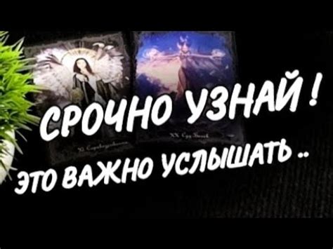 Сны о сопернице: предвестник измены или силы внутри?