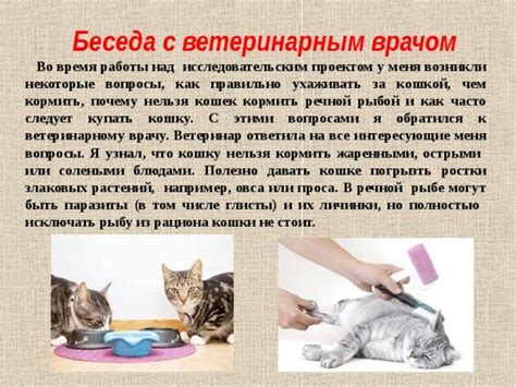 Соблюдение гигиены и уход за кошкой