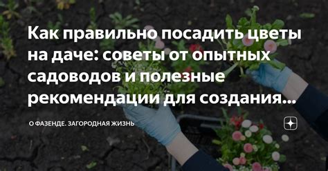 Советы и рекомендации для самостоятельной обработки