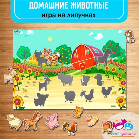 Совместные игры животных