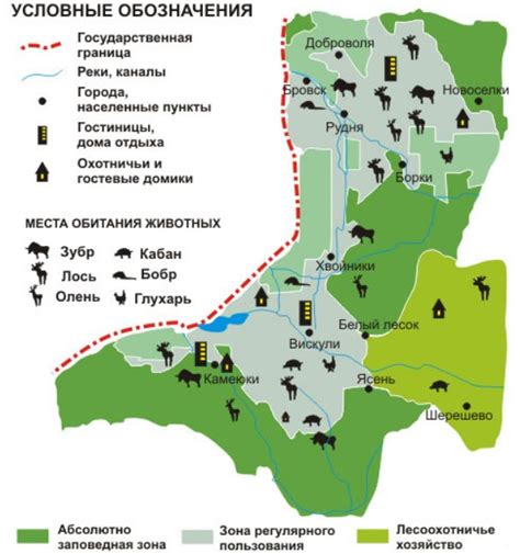 Современное значение Беловежской пущи: туризм и научные исследования