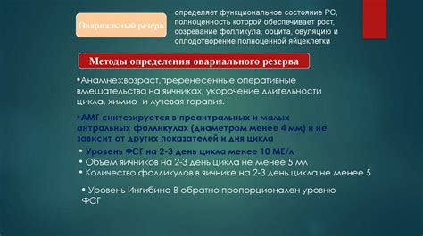 Современные технологии в диагностике и лечении сердечно-сосудистой тени