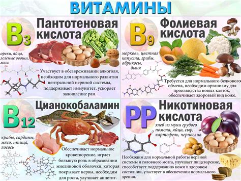 Содержание витаминов группы Б в различных продуктах