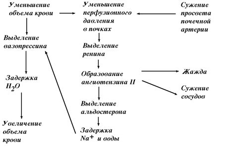 Создание глоссария