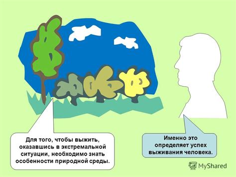 Сознательность и сотрудничество - успех в экстремальной ситуации