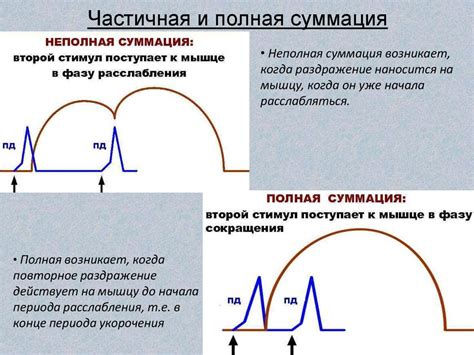 Сокращение lite и его значение