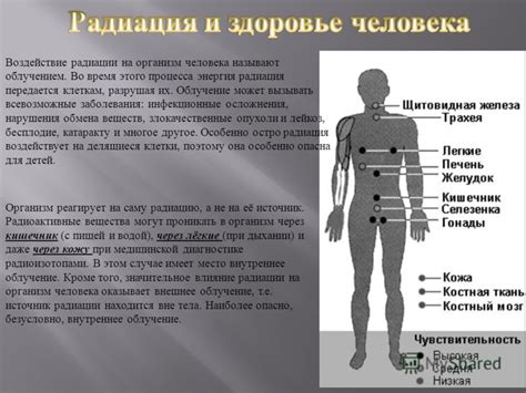 Сонные нарушения и их воздействие на организм