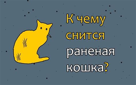 Сон о кошке, ушедшей из дома: предостережение