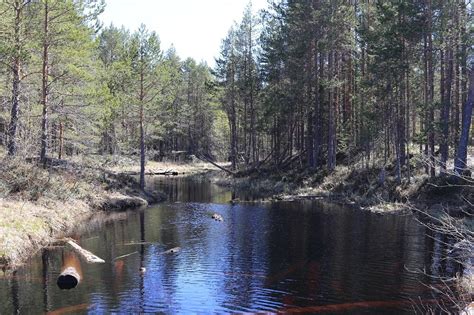 Сон о реке с черной водой: значения и толкование