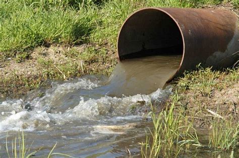 Сон с грязной водой: символика и смысл