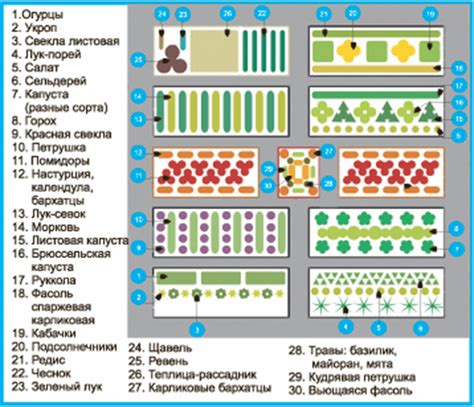 Составление оптимальной схемы посадки