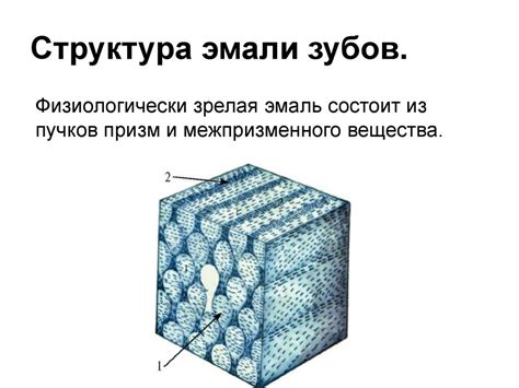 Состав и структура молотковой эмали