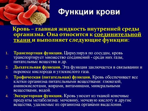 Состав микронутриентов, их функции и роль в организме