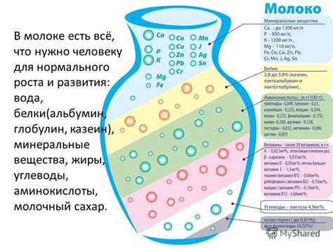 Состав сухого вещества молока