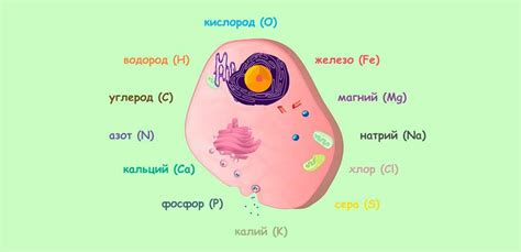 Состав элементов