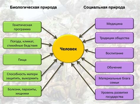 Социальная сущность человека: ключевые аспекты