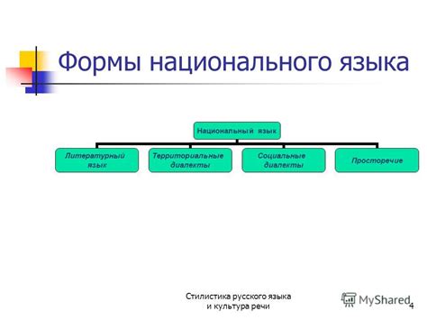 Сочетание литературного и национального языков