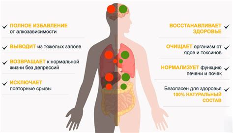 Спасение и восстановление организма после замерзания