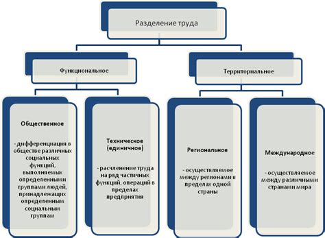 Специализации