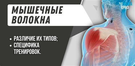 Специфика тренировок в школе и их многообразие