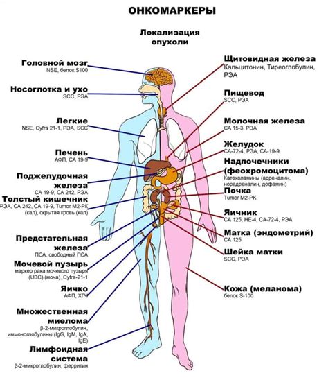 Специфические маркеры вещества в организме