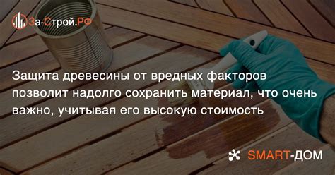 Способы защиты древесины от вредных воздействий