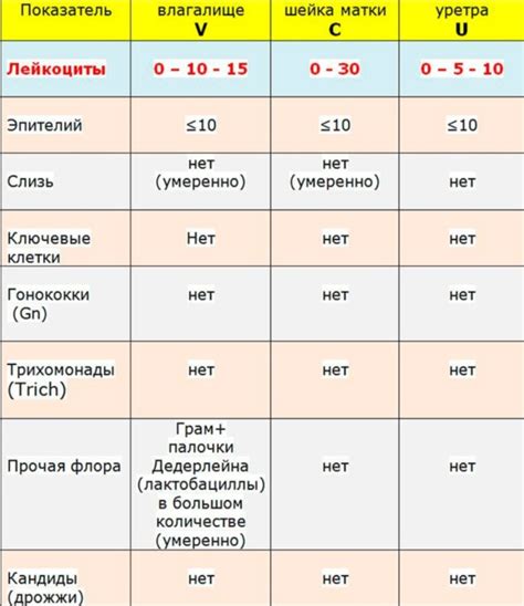 Способы лечения повышенных ретикулоцитов у женщины