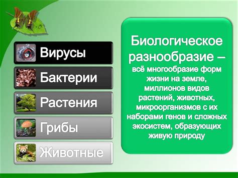 Способы сохранения биологического разнообразия и биотических факторов