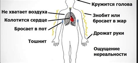 Справочник: что делать, если сильно тошнит и кружится голова