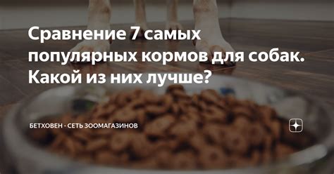 Сравнение кормов Farmina и Grandorf для собак: какой выбрать?