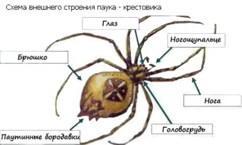 Сравнение пламегасителя и паука для Весты