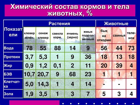 Сравнение по составу и питательным веществам