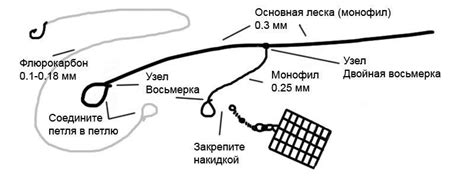 Сравнение эффективности асимметричной петли и петли Гарднера