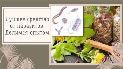 Средства от паразитов