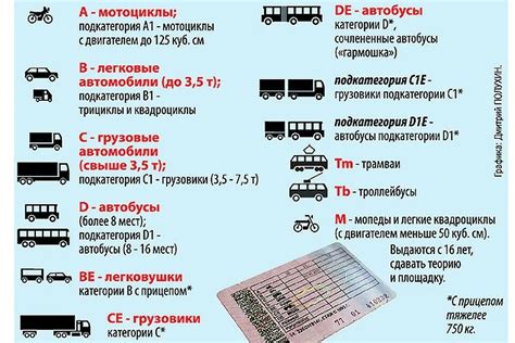 Сроки получения водительского удостоверения категории С1