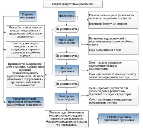 Стадии проведения процедуры