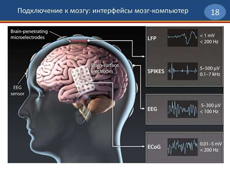 Стимуляция активности мозга